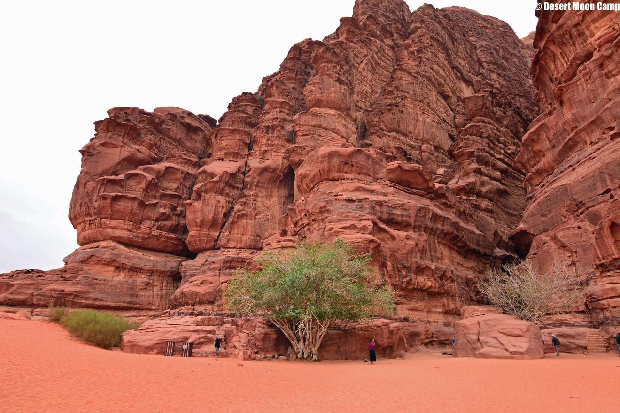 Desert Moon Camp Wadi Rum Buitenkant foto